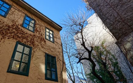 1070 Vienna Myrthengasse - Innenhof / Patio; © Christoph Sammer