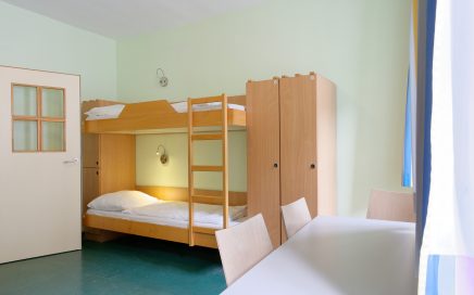 1070 Vienna Myrthengasse - Zimmer / Room