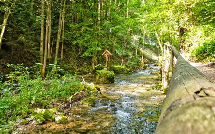 Mondsee Wanderweg Helenental - © Christoph Sammer