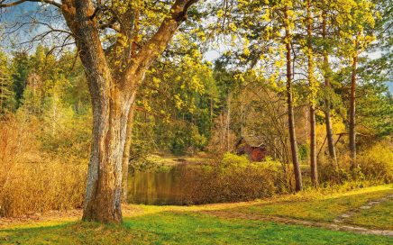 Jugendherberge Neu Nagelberg Garten - © Christoph Sammer