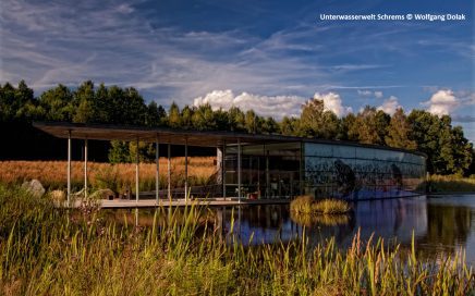 Neu Nagelberg - Unterwasserwelt Schrems - © Wolfgang Dolak