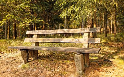 Jugendherberge Neu Nagelberg Wald Sitzbank - © Christoph Sammer