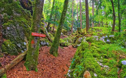St. Gilgen Wanderweg Plombergstein - © Christoph Sammer