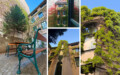 1070 Wien Hof / Patio