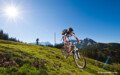 Mondsee Mountainbiking Mountainbiking Mondseeland - Foto: © OÖ Tourismus / Erber